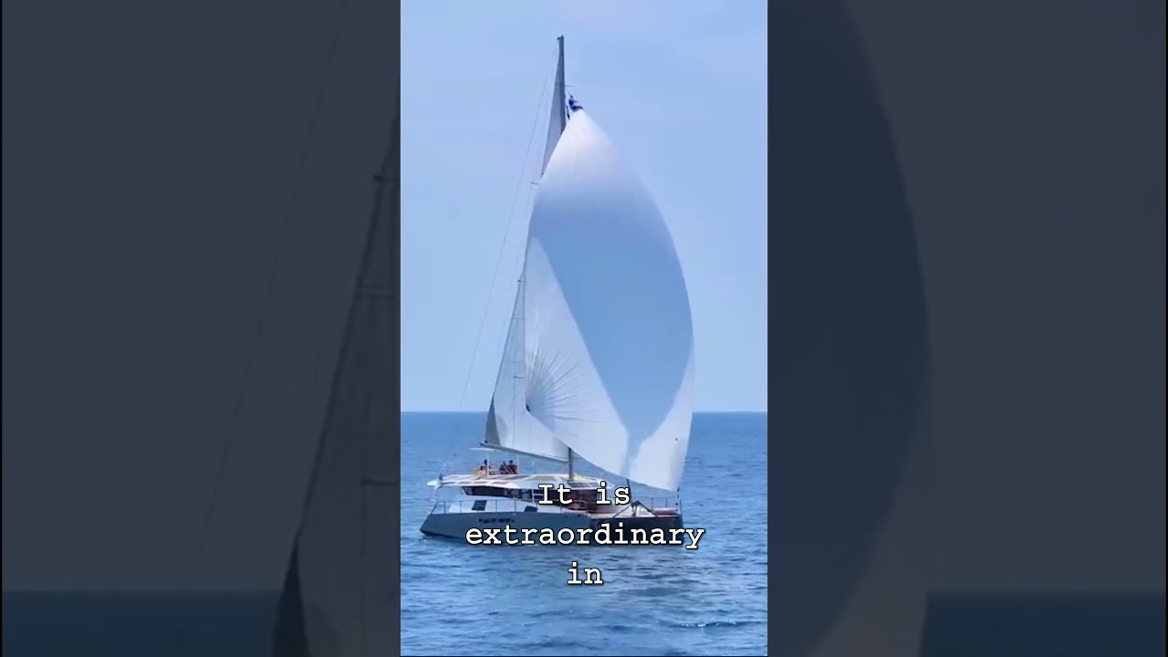 'This is potentially the most extraordinary yacht you've ever seen' #sailingboat #sailinglife #yacht