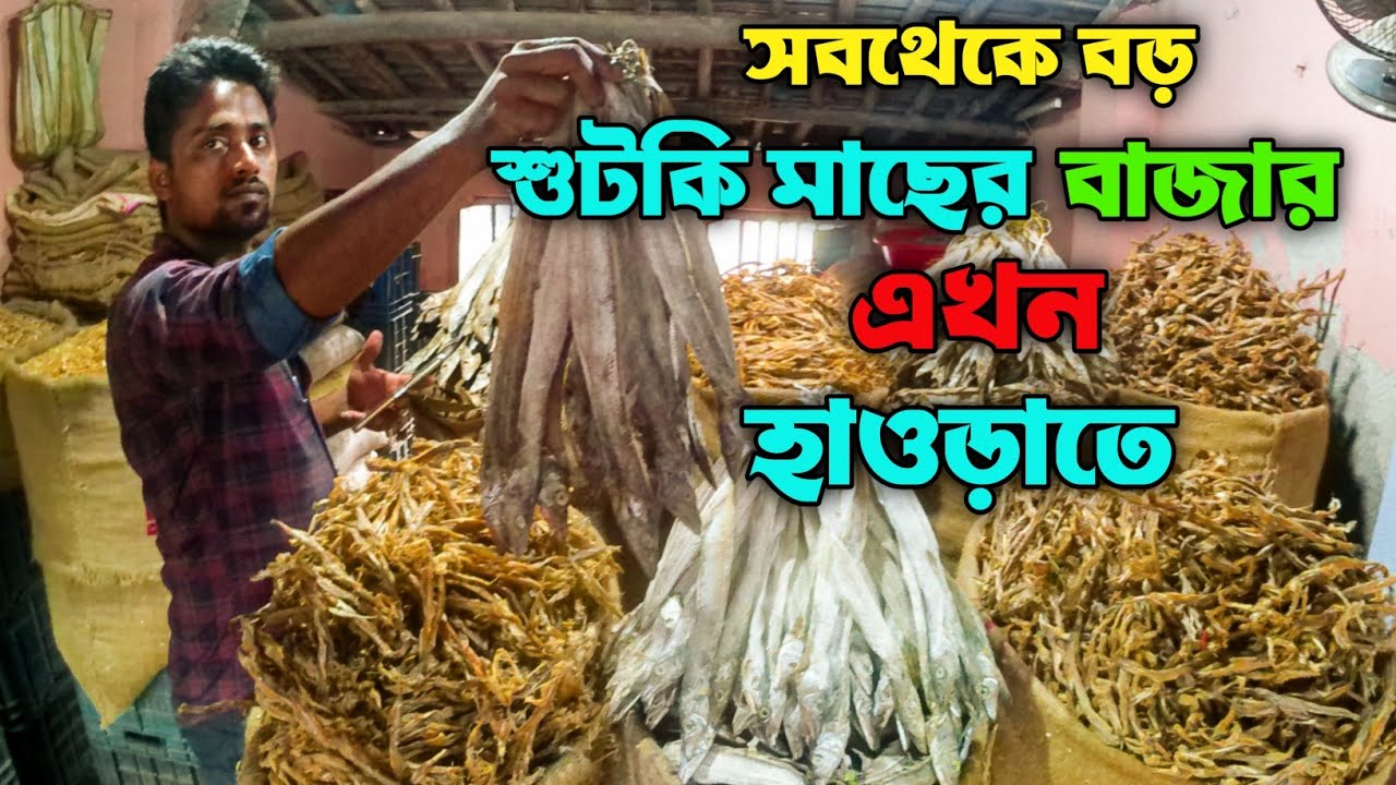শুটকি মাছের হাট এখন হাওড়াতে ||Dry fish market||Cheapest Dry fish market||@Monerkachakachi