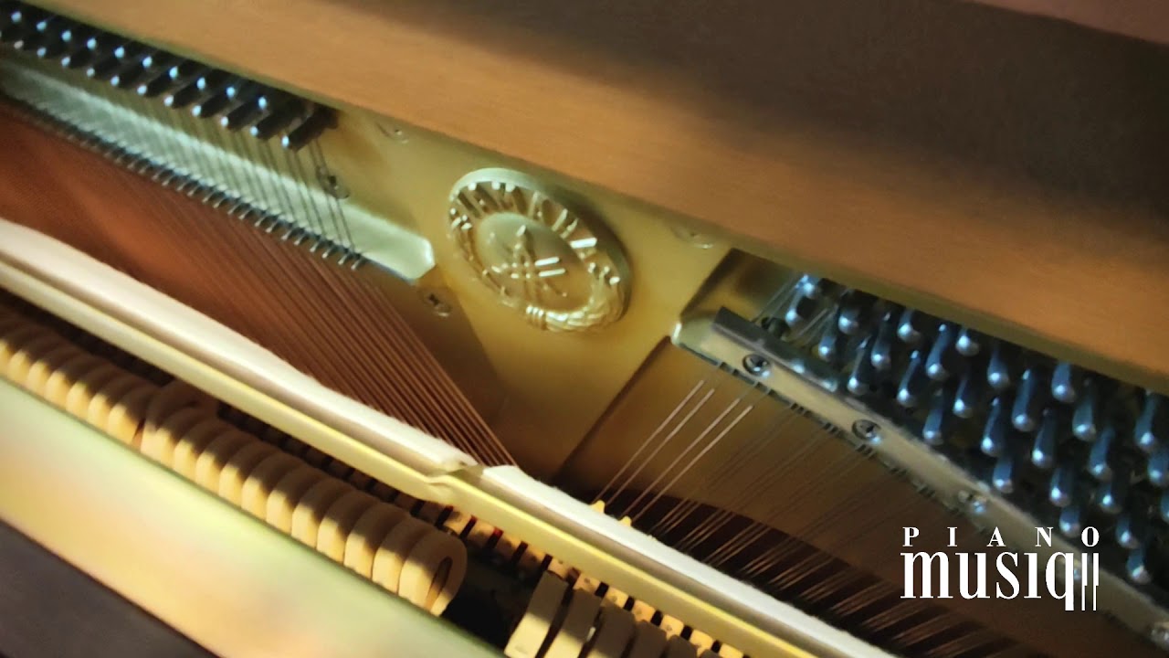 Pianomusiq.pl - Jak gra pianino z Yamaha Disklavier?