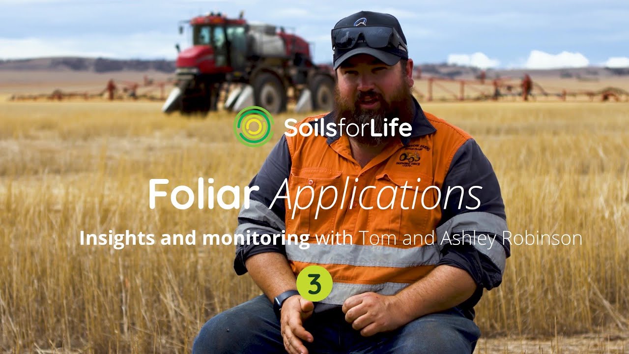Foliar applications 3: Insights