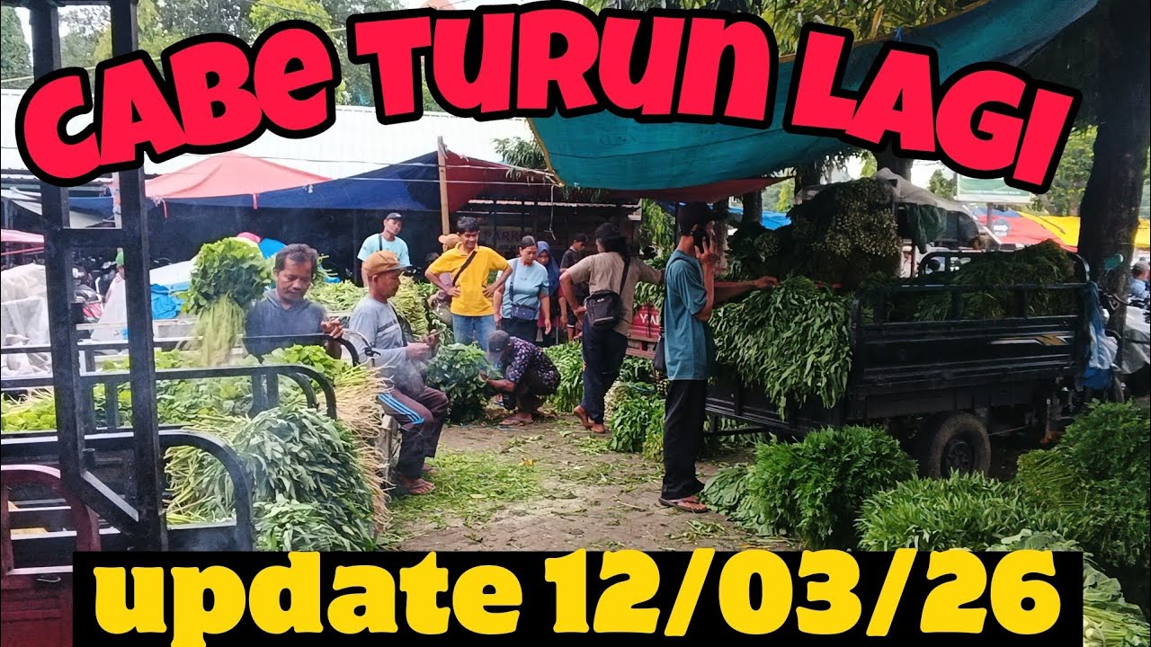 Harga Cabe Turun! update harga terbaru Sayuran pasar grosir ngronggo kota kediri 12/03/26