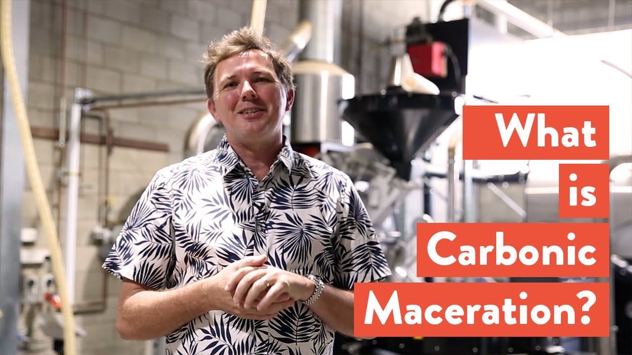 What is Carbonic Maceration?