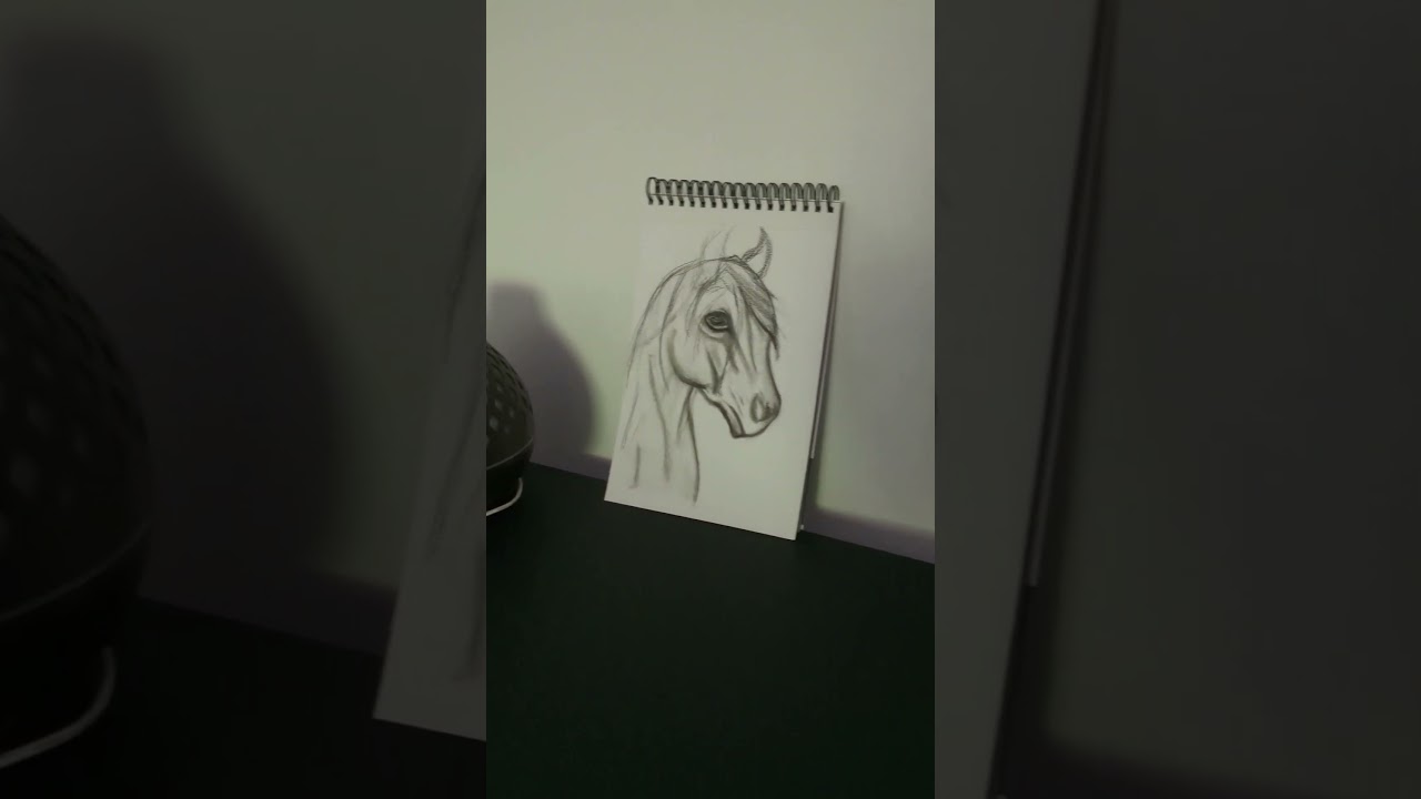 🐴art drawing horse