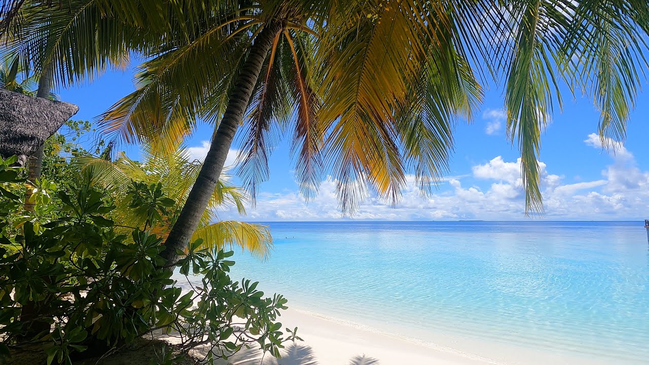 Safari Island Malediven 2024