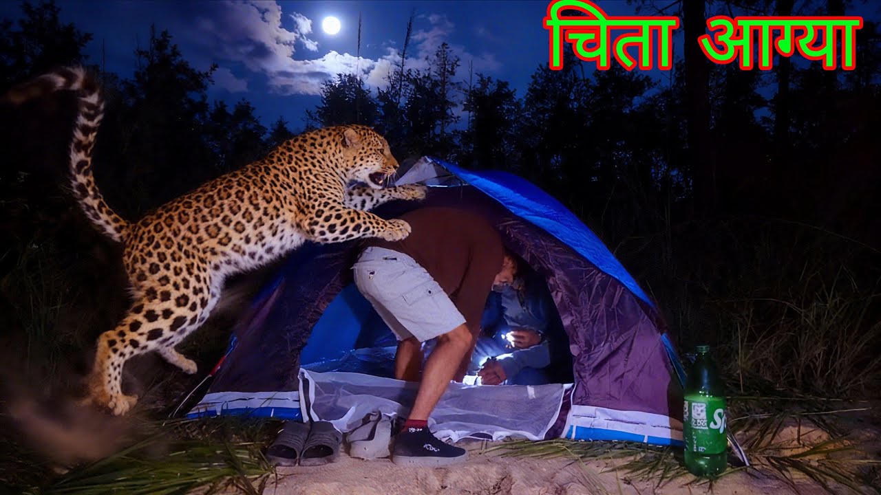 Lepord attack in my camp 🐆🐆 Night Camping in forest || ( help )😭 Dangerous Night Camping 🏕️🏕️