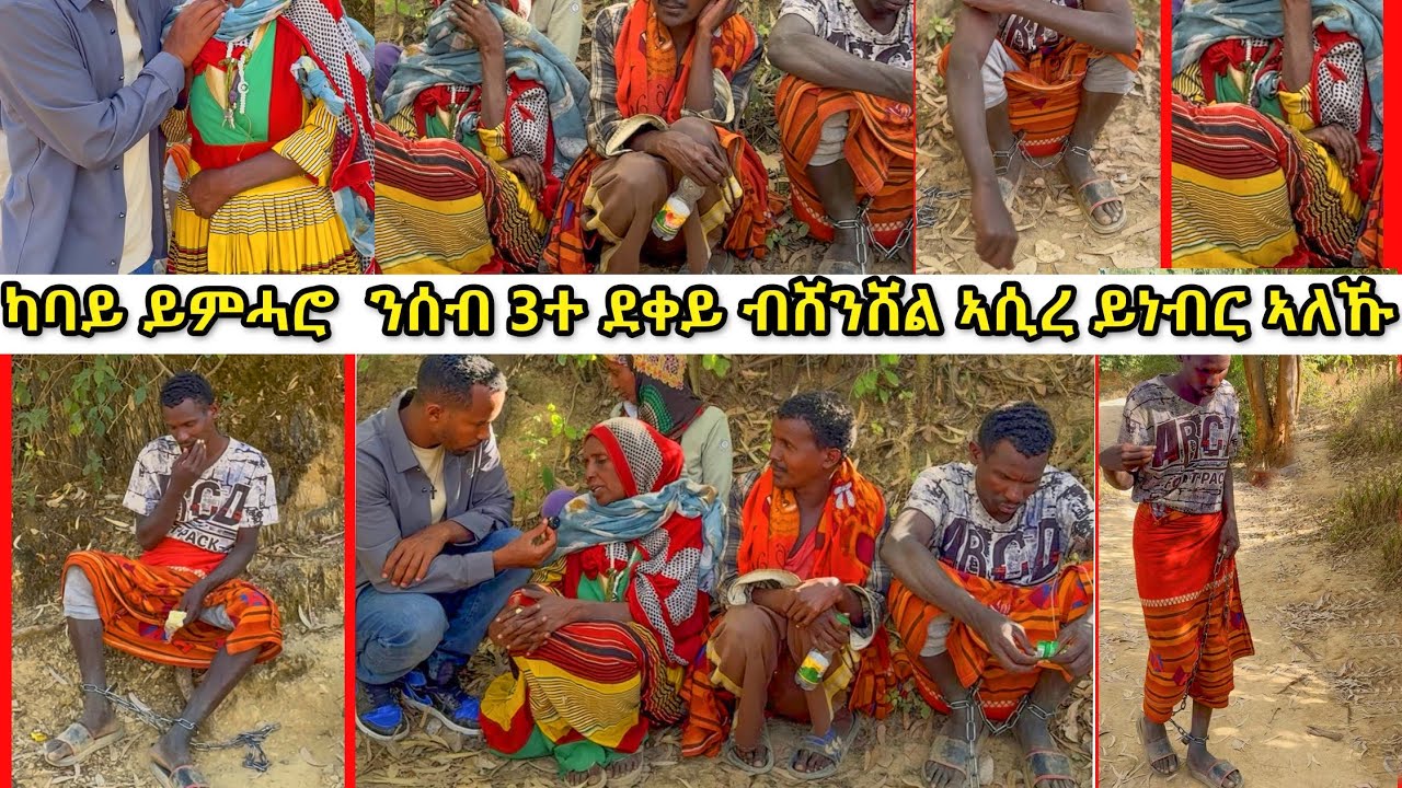 ዋይ መከራ  ከምዝይ እሞ ኣይረኣኩን  ዛ ወላድት ዝረከበቶ መከራ  ኣዶ ብዝሓት እዝይ ኣይግበእን ነሩ    ፈጣሪ  ምሕረት ይዉርደሎም  🙏