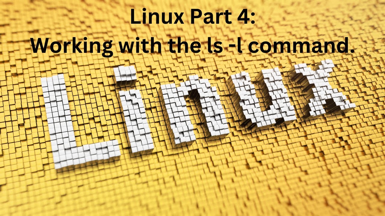 Linux IV - Working with the ls -l command