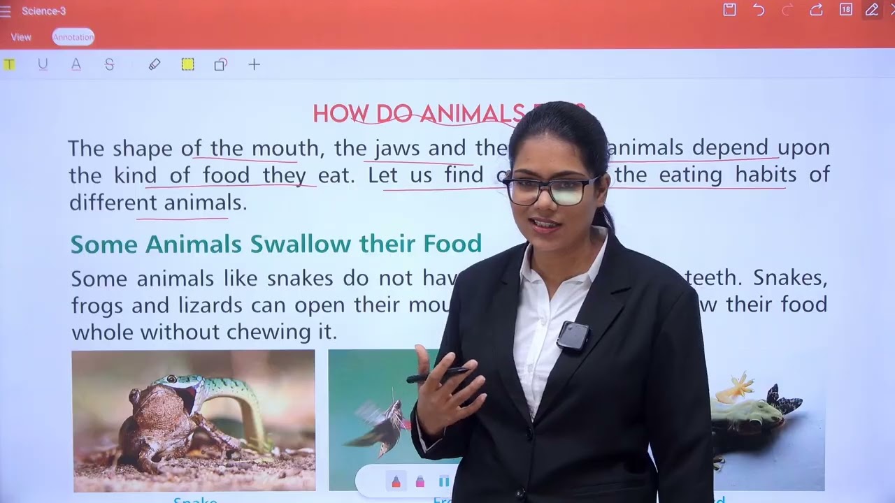 CHAPTER 3 EATING HABITS OF ANIMALS | SCIENCE 3