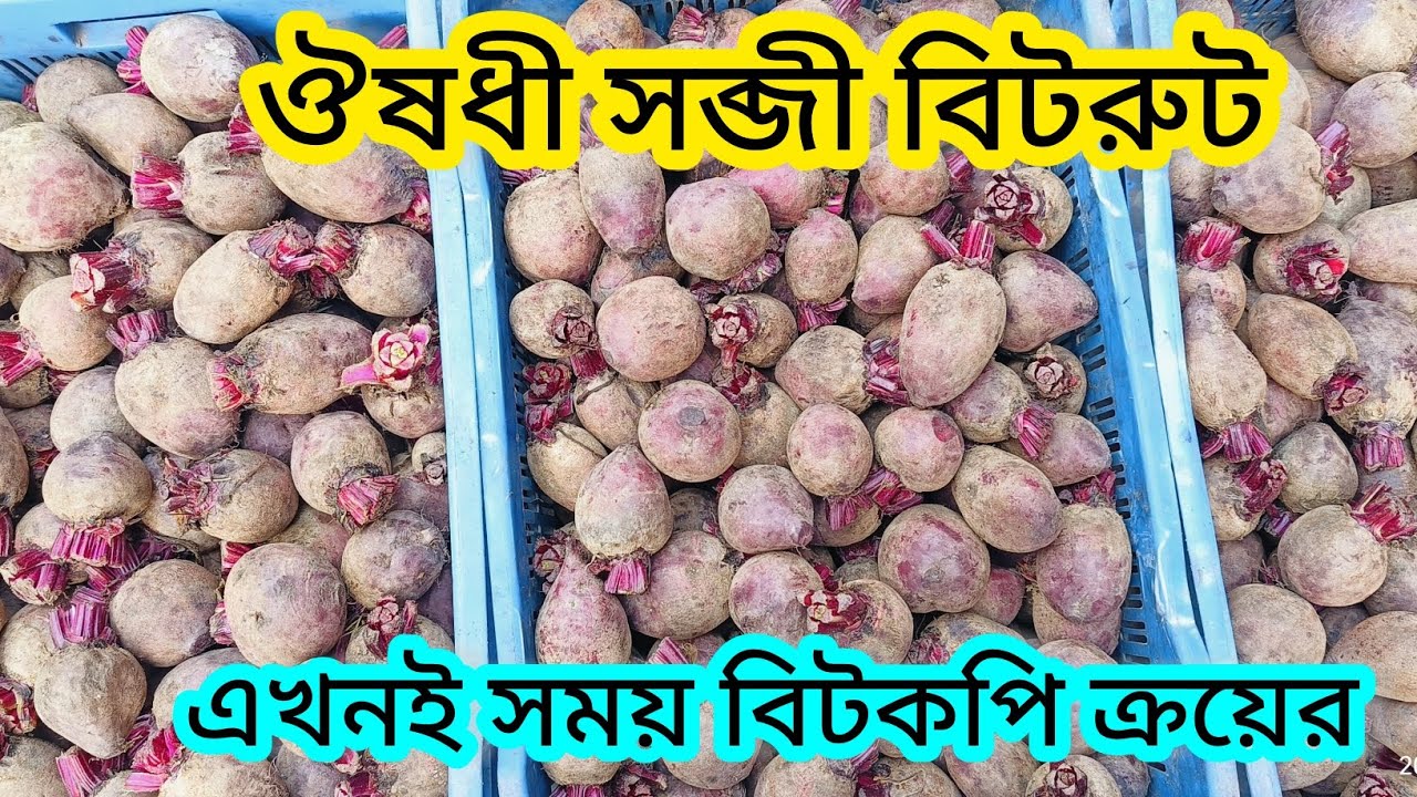 বিটরুটের বাজার দর || দাম কমলো বিটকপির