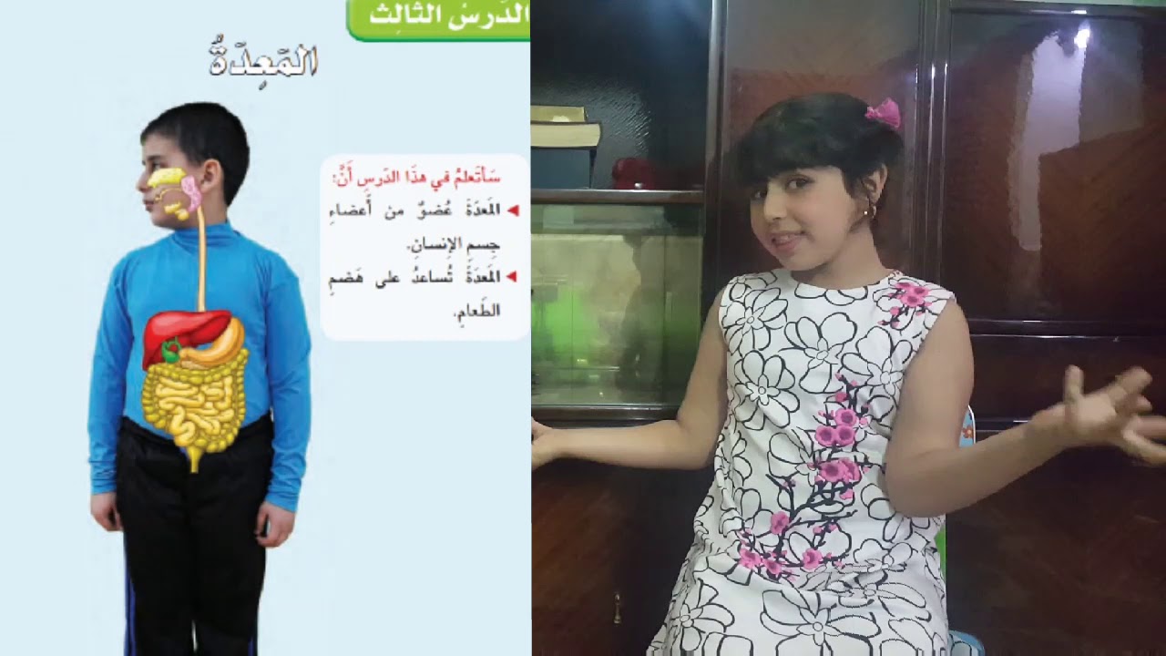 المعده علوم ثاني ابتدائي