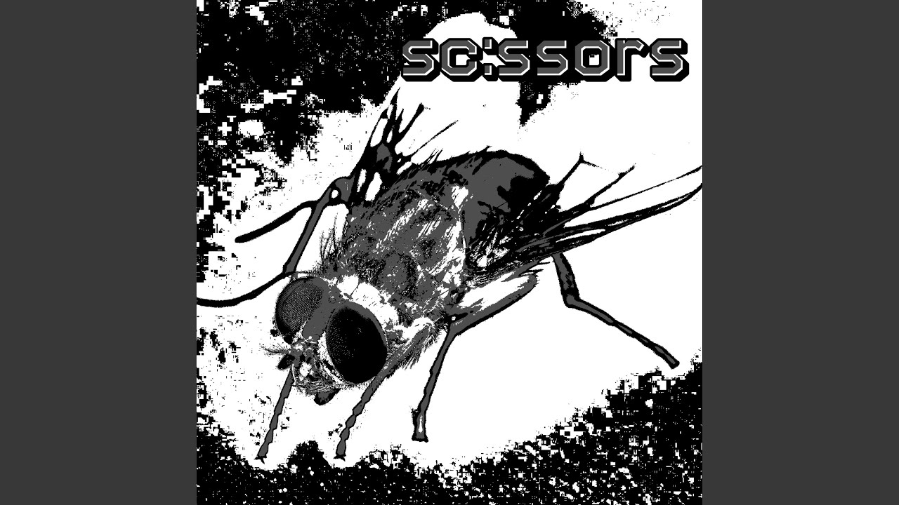corpse flies