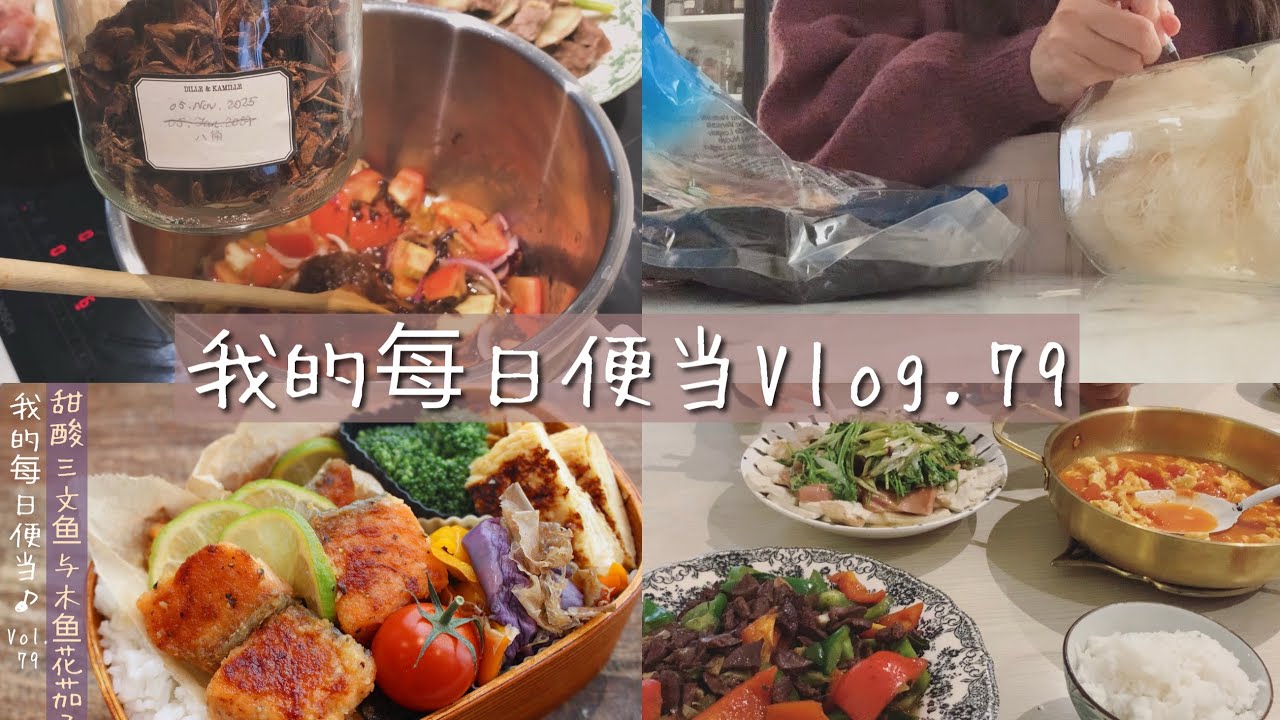 Easy Salmon in Sweet & Sour sauce & eggplant salad lunchbox 便当Vlog.79｜甜酸渍三文鱼与茄子色拉｜厨房收纳杂事｜白萝卜炖牛腩｜荷兰日常