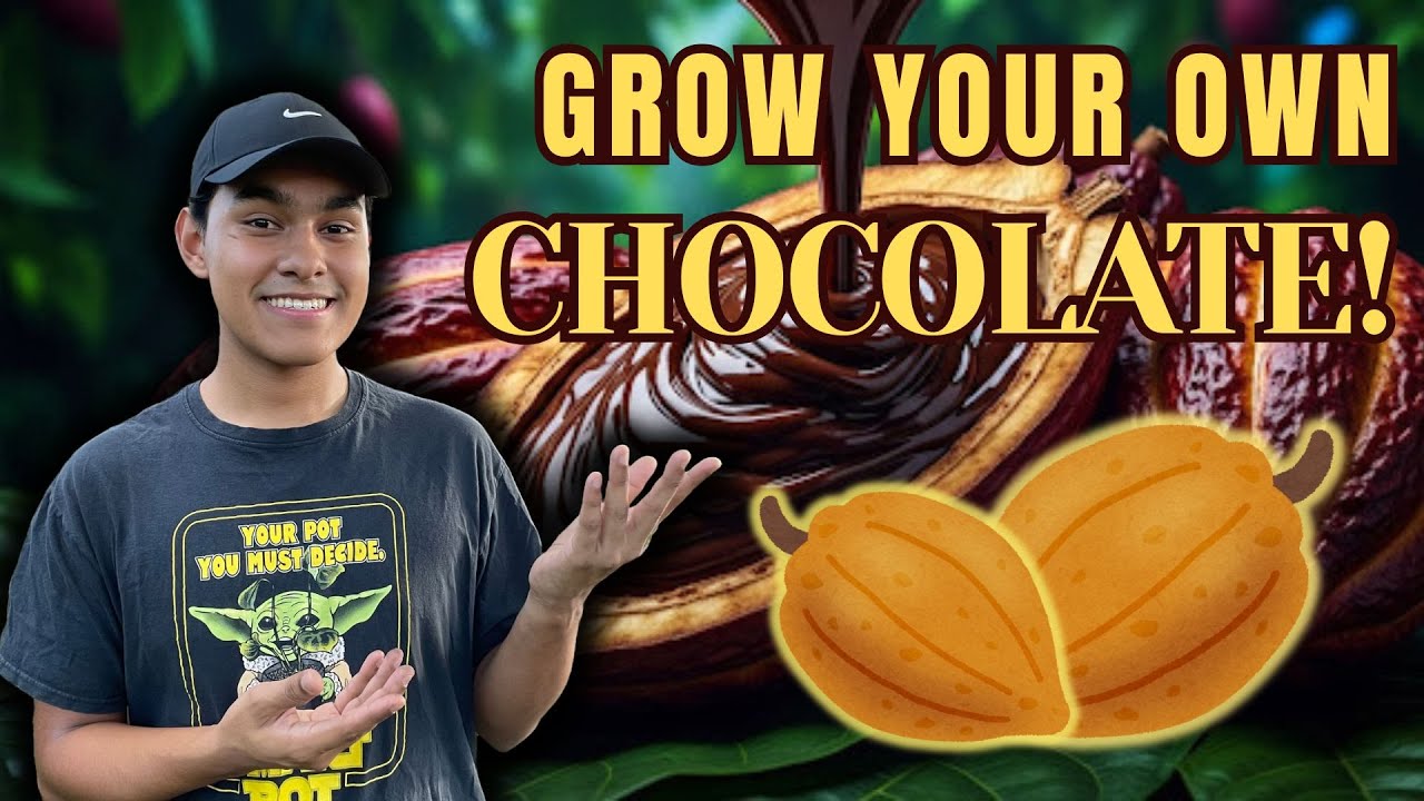 Grow Your Own CHOCOLATE!🍫🌿S:3, Ep.62//The Ultimate Gardener