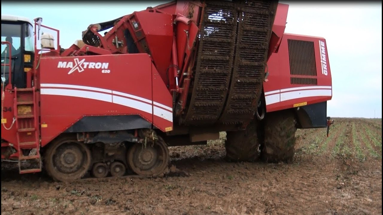 Grimme Maxtron 620  - conditions humides