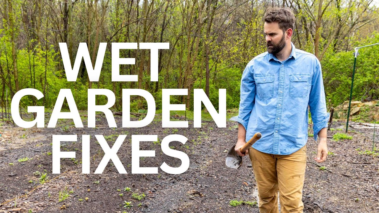 Too Much Rain? How to Garden Through a Soggy Spring