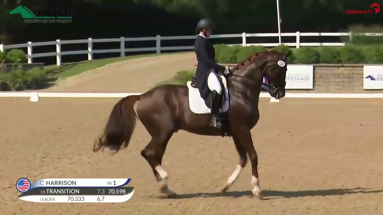Codi Harrison & Katholt's Bossco | FEI Grand Prix Special Test | U.S. Dressage Festival of Champions