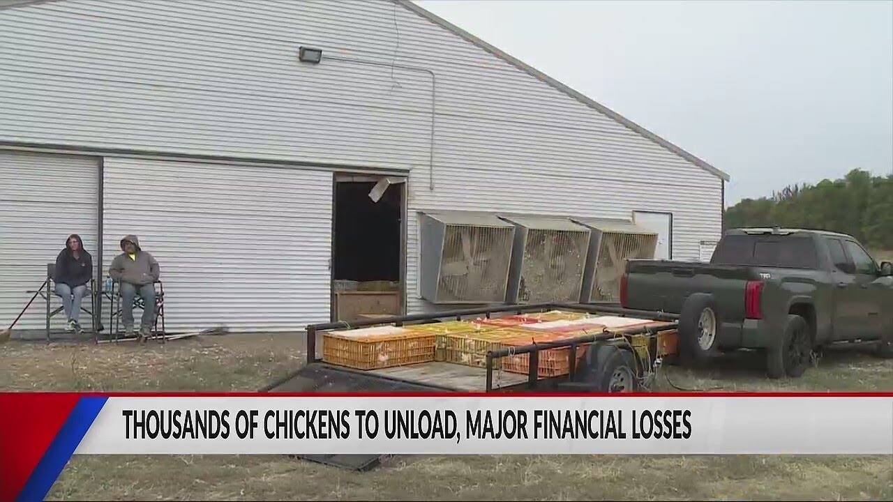 The abrupt closure Pure Prairie Poultry’s processing plant has Wisconsin chicken farmers scrambling