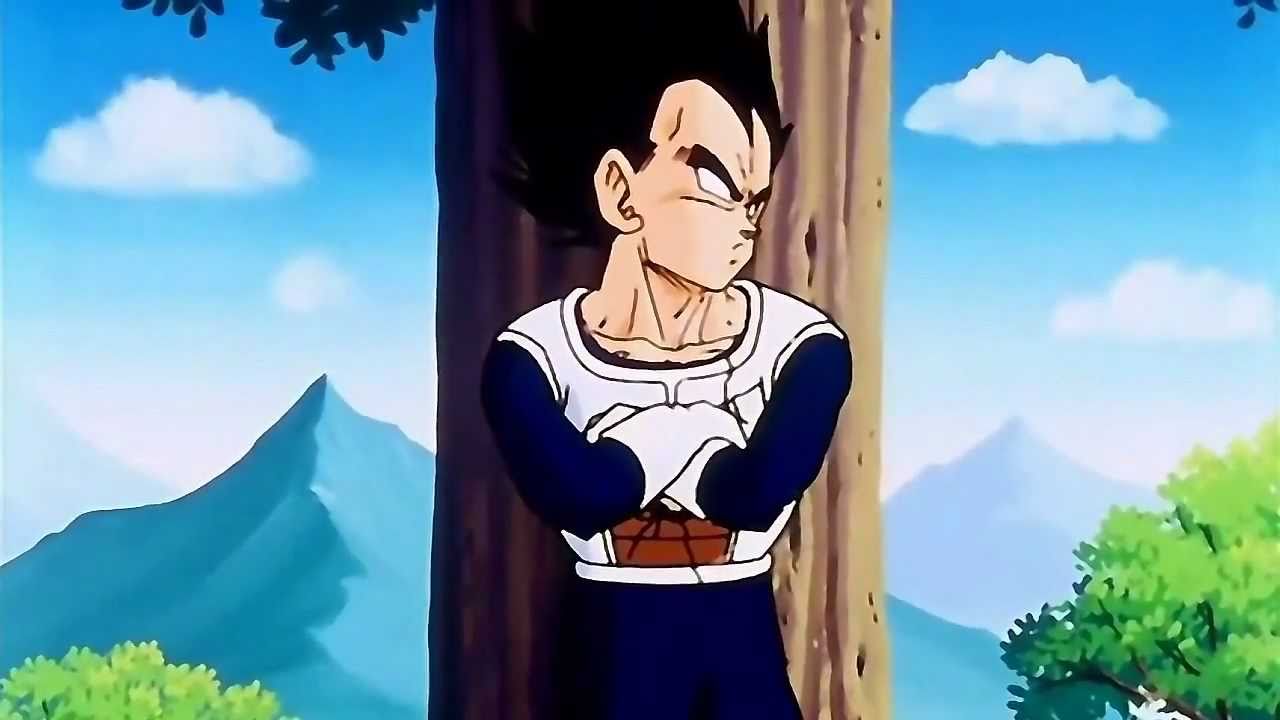 DragonBall Z - Vegeta's Kinda Cute!