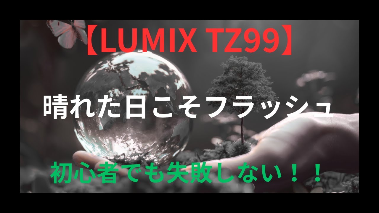 【LUMIX TZ99】晴れた日こそフラッシュ　逆光なんて怖くない！？