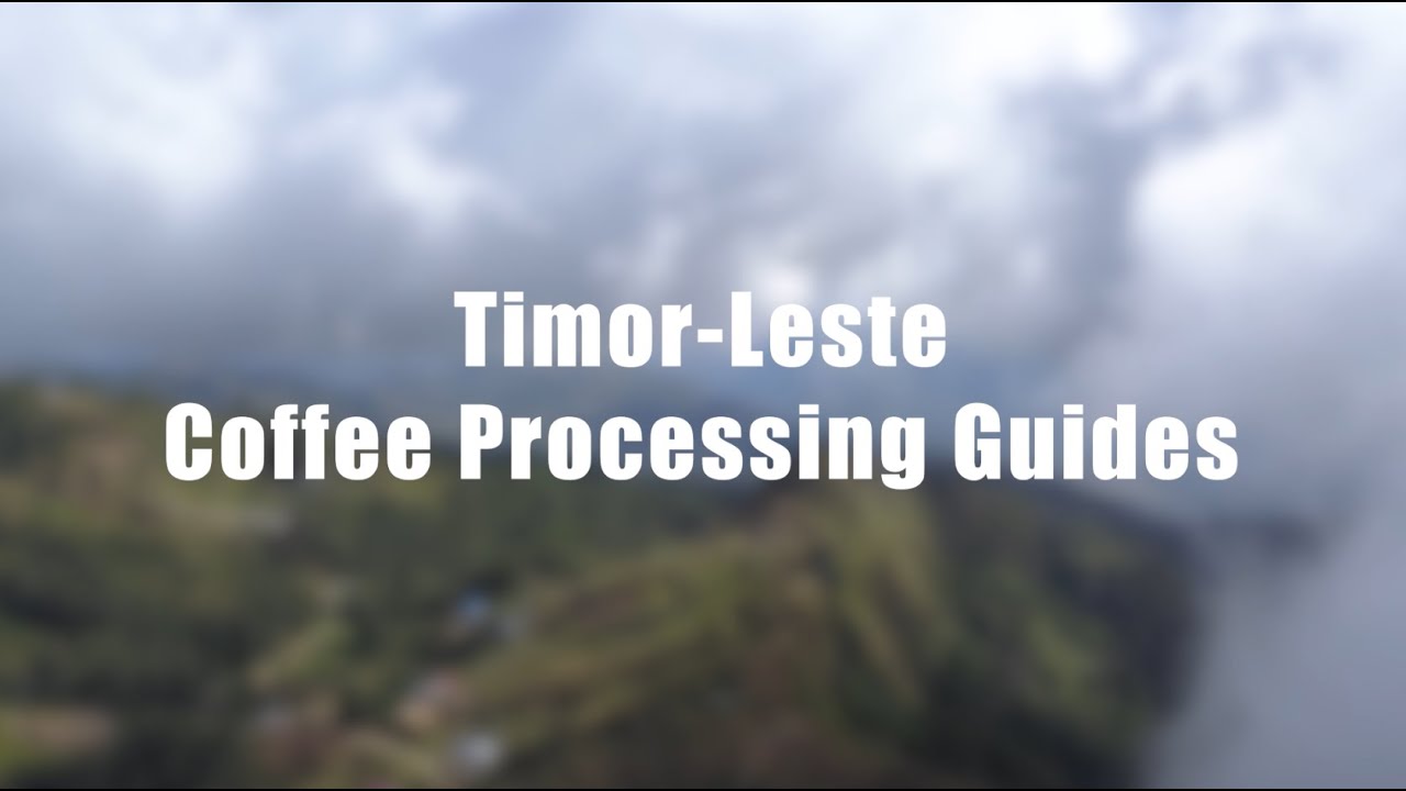 Coffee Processing Guides - ENGLISH - Timor-Leste