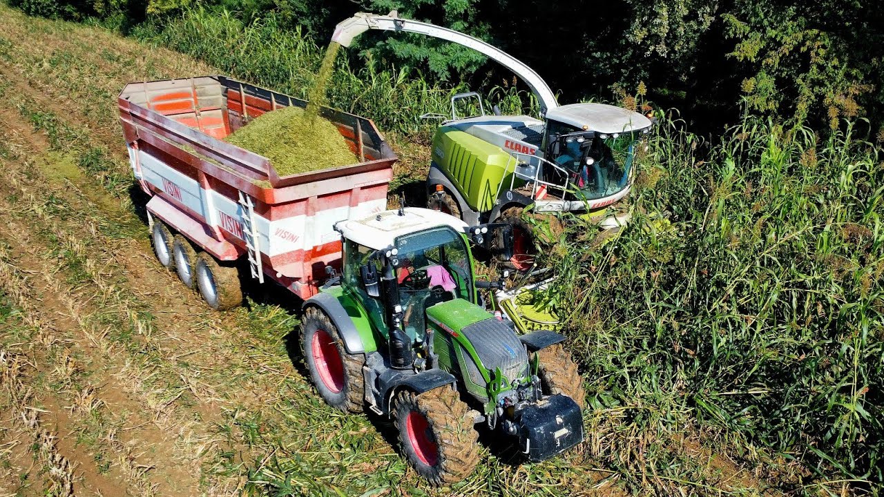 INSILATO DI SORGO: CLAAS JAGUAR 960 + ORBIS 750 | DEUTZ FAHR TTV 6185 WARRIOR | FENDT 514
