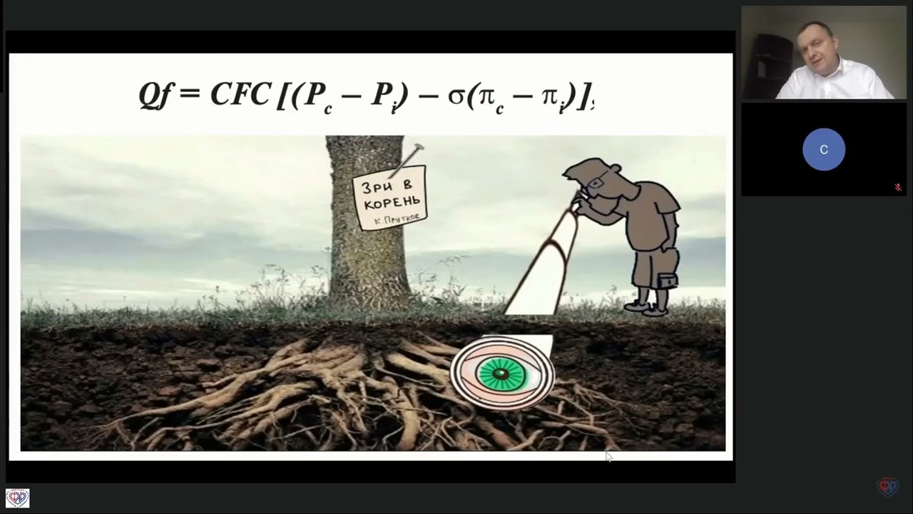 Инфузия и капиллярная утечка Симутис И.С.