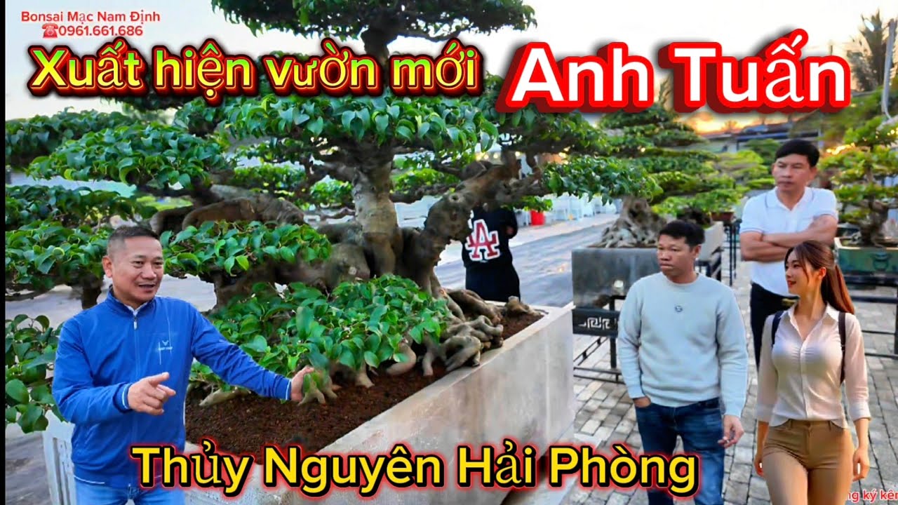 Lần đầu xuất hiện Khu vườn mới anh Tuấn nhiều tác phẩm quý 090.4455.886