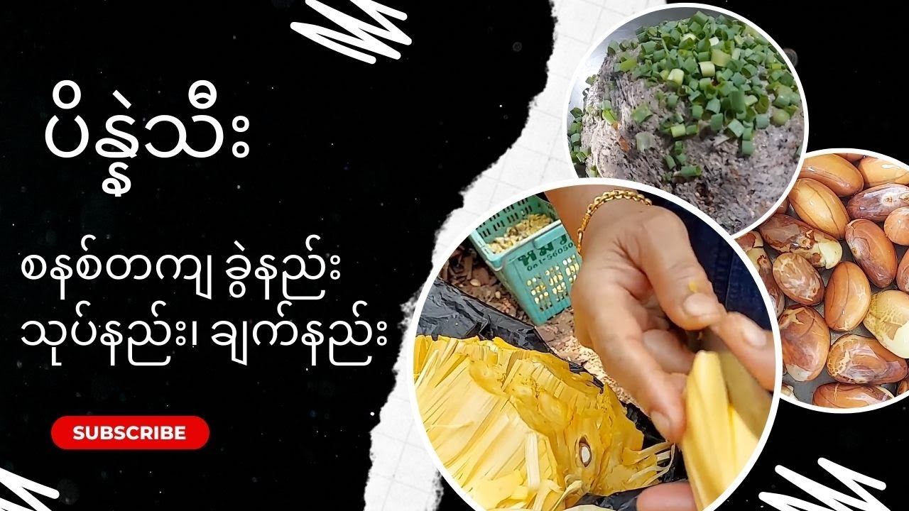 ပိန္နဲသီးသုပ်၊ ပိန္နဲသီးဟင်းရည် - Jackfruit Salad and Soup