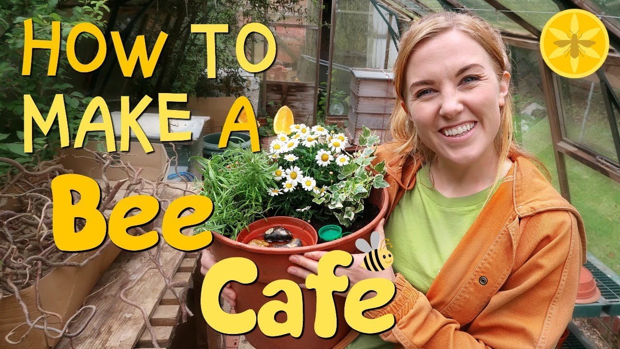 How to make a Bee Cafe! | Maddie Moate