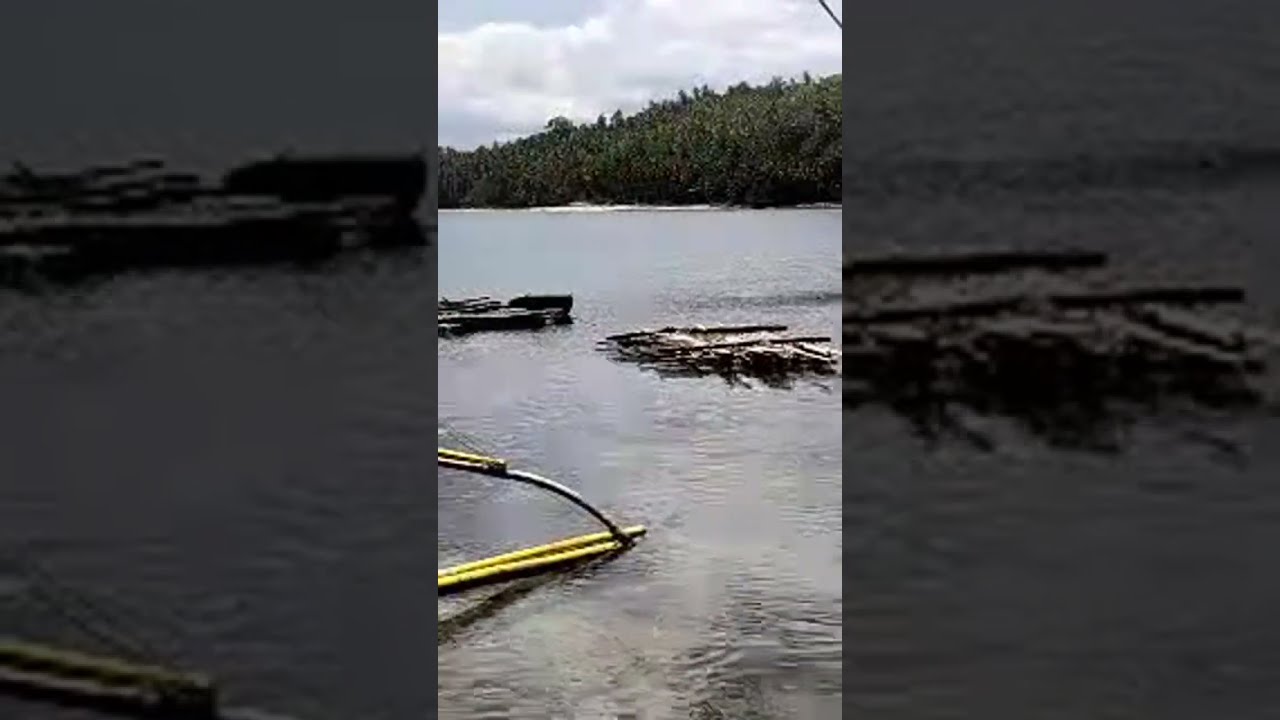 March 5, 2026 Silent Only Hello all in chat No Talking Just Silent & Thinking May You enjoy the view