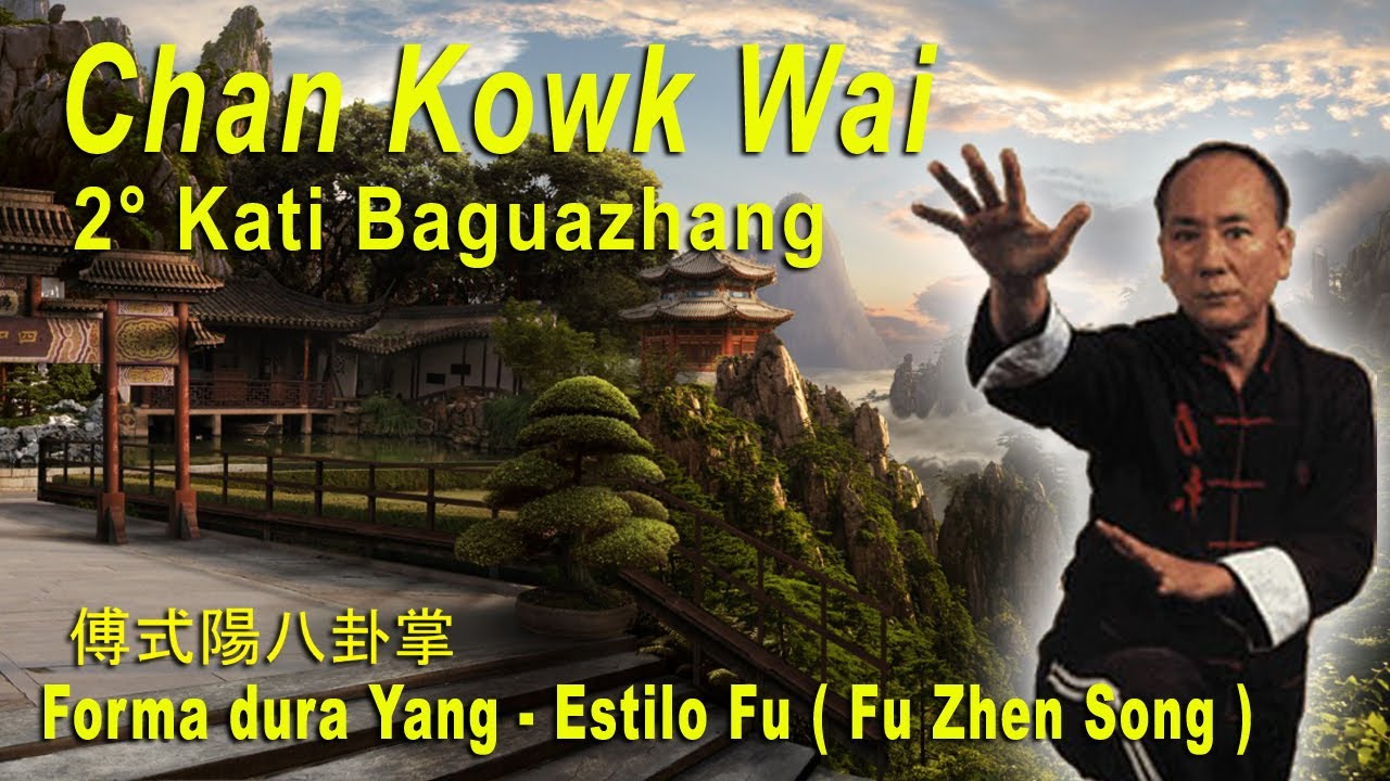 Shaolin do Norte   Chan Kowk Wai   Baguazhang 2 Estilo Fu