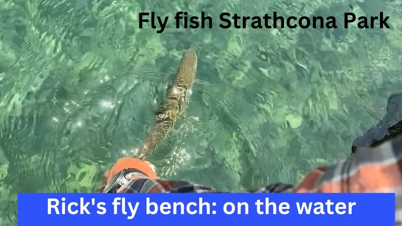 Fly fishing for trout in Strathcona park on Vancouver Island, British Columbia