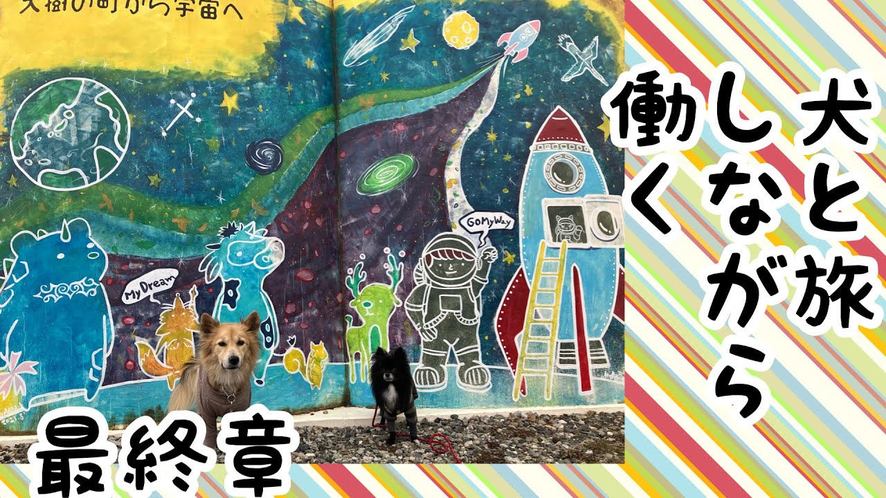 【犬と旅しながら働く】出稼ぎ&アルバイト旅　42泊43日車中泊　旅を終え思うこと