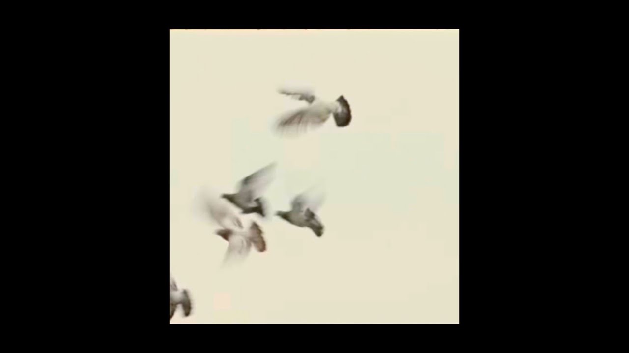 ✦ free asap rocky x clams casino type beat 