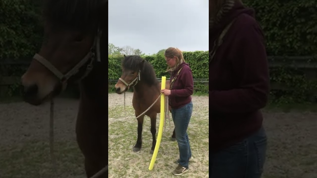 Pantherwalk and weight shift IJskoud