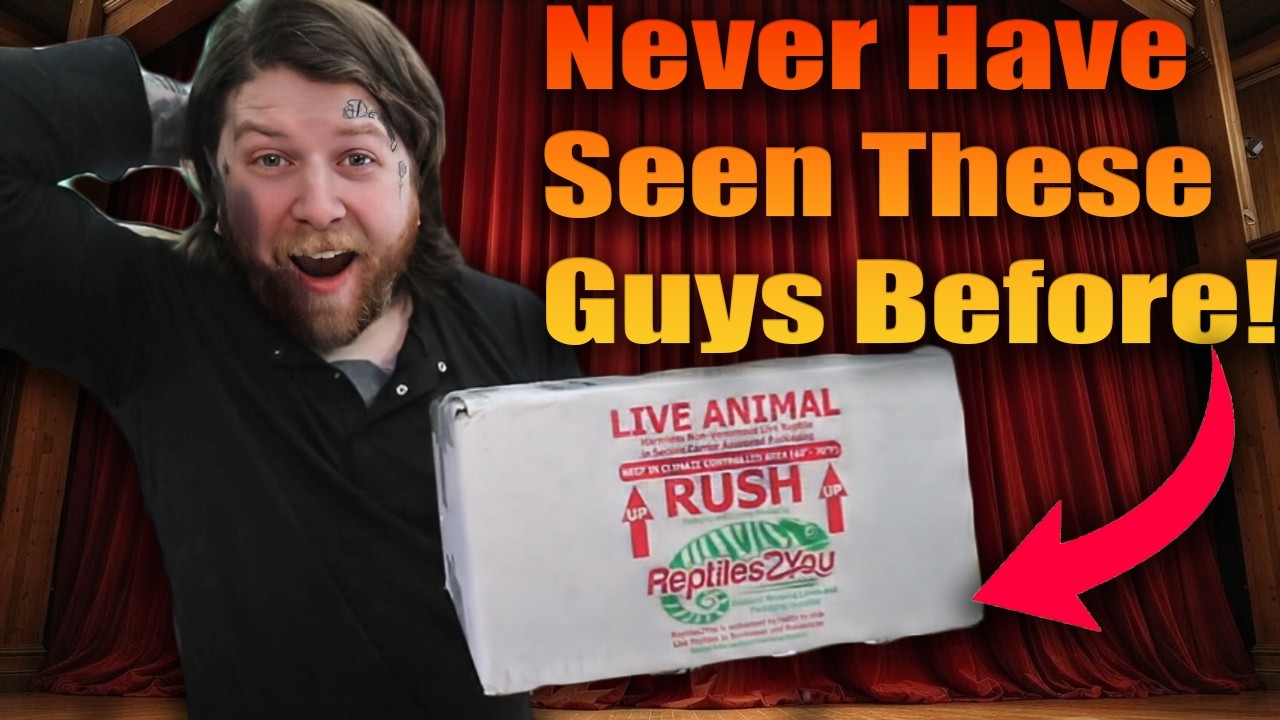 Unboxing The Rarest Lizards In My ENTIRE Collection!!!