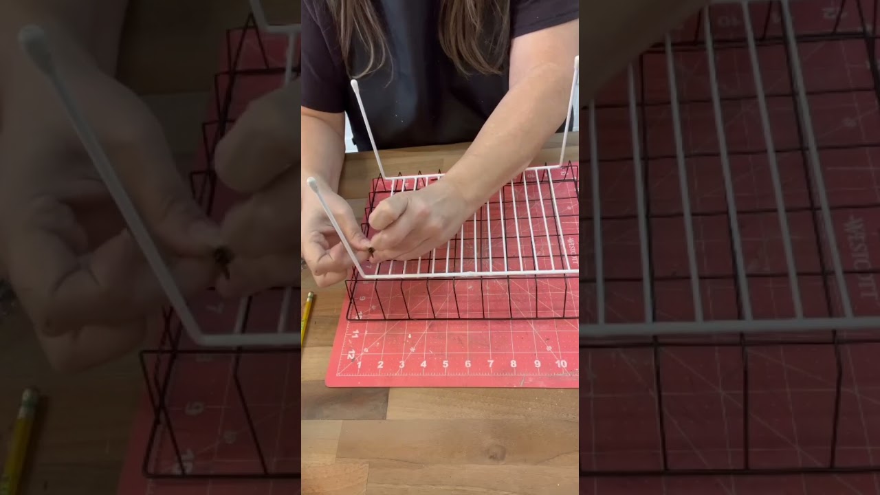 Простейший проект &laquo;Долларовое дерево своими руками&raquo; #рукоделие #инструкции #dollartree #сделайсам...