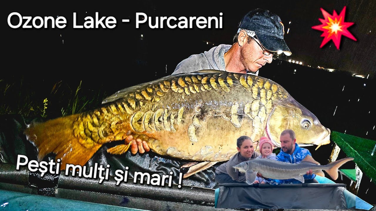 Ozone Lake - Pescuit la Crap - cu furtună și pești MULȚI și MARI #pescuitlacrap #purkareni #ozone