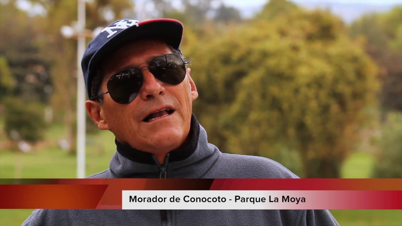 Conoce más de Conocoto