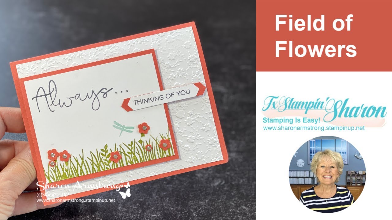 A Thinking of You Card That Will Elevate Anyone's Spirit