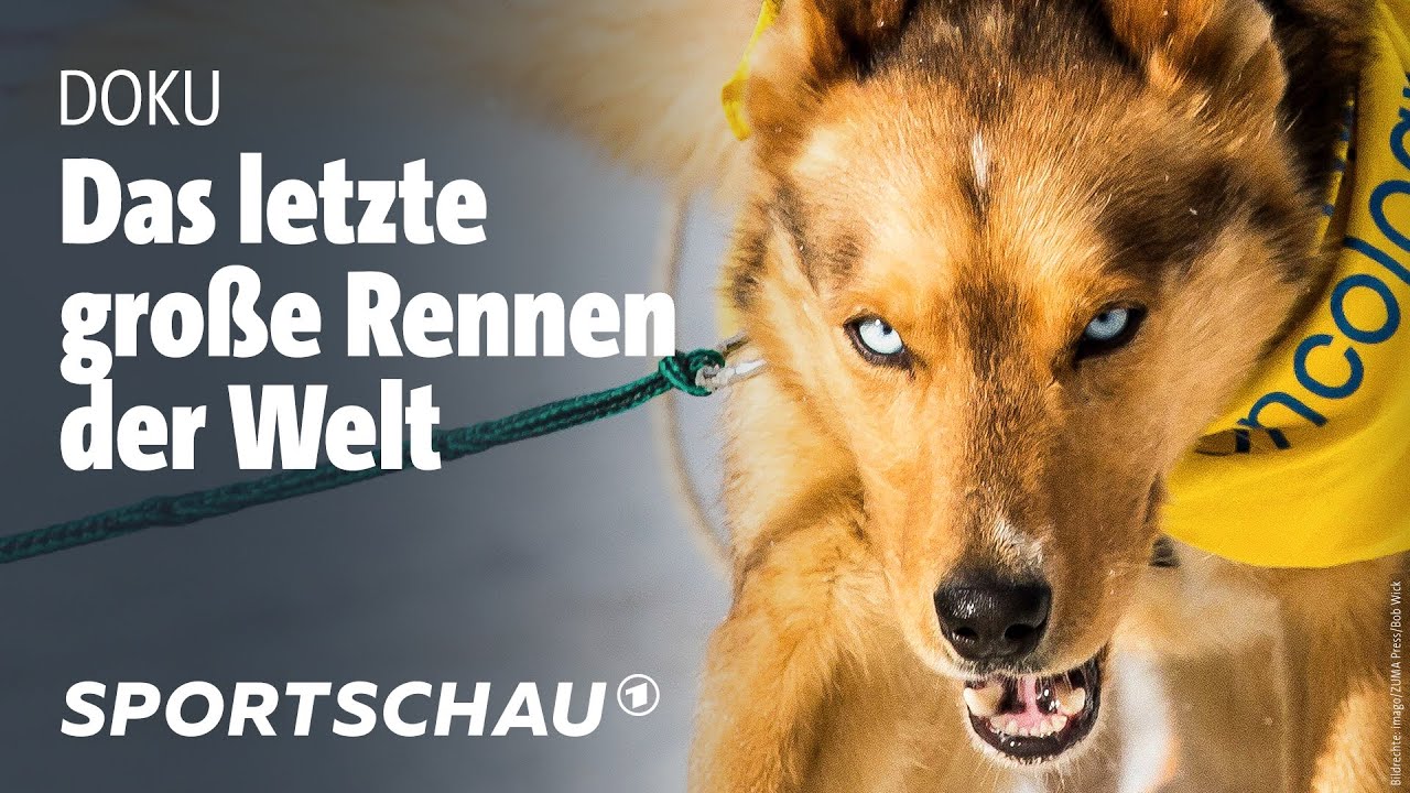 Extremes Hundeschlitten-Rennen durch Alaskas Wildnis | Iditarod | Sportschau