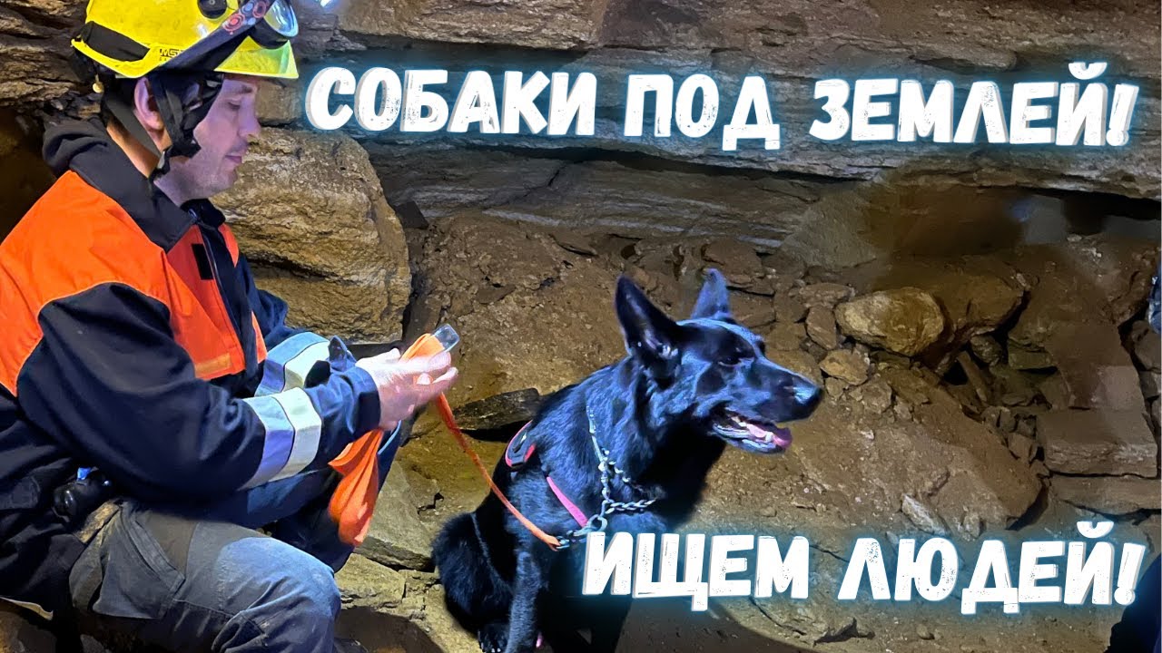 Как собаки ищут людей в подземелье. Тренировка в одесских катакомбах. Ищем людей под 