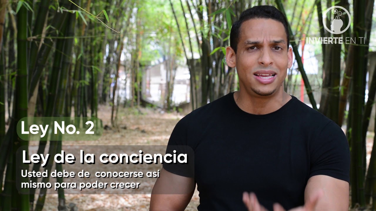 Ley 2 - Ley de la conciencia