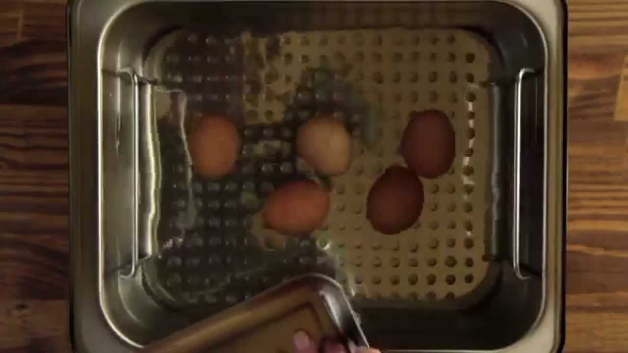 Sous Vide 