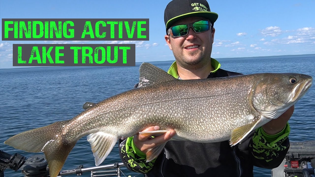 Finding Active Lake Trout Schools to Vertical Jig