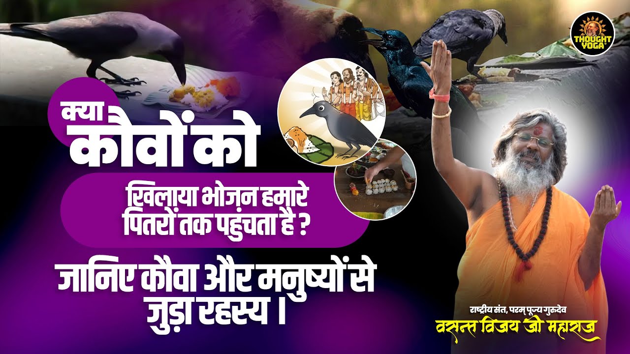 क्या कौवों को खिलाया भोजन हमारे पितरों तक पहुंचता है जानिए कौवा और मनुष्यों से जुड़ा रहस्य ।