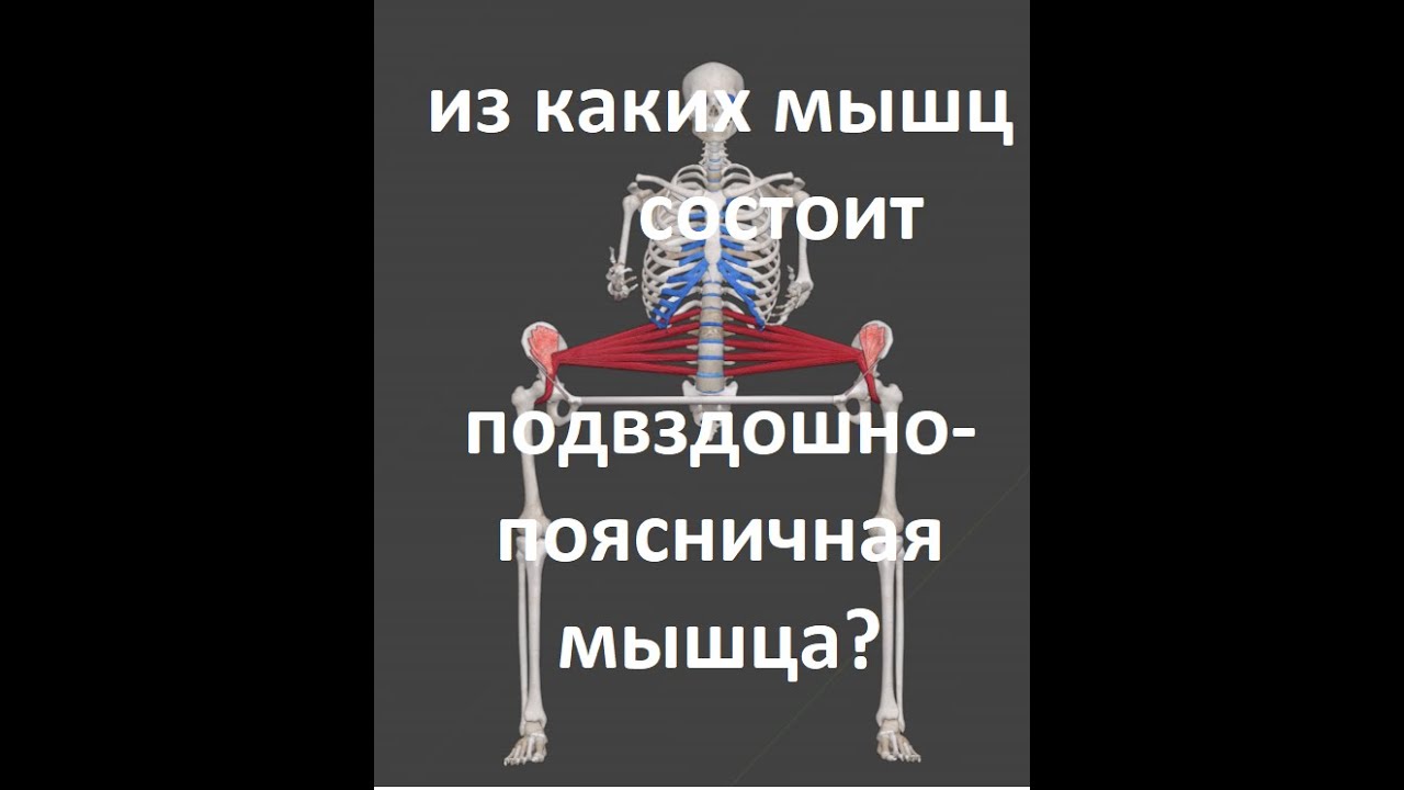 подвздошно поясничная мышца, крепление
