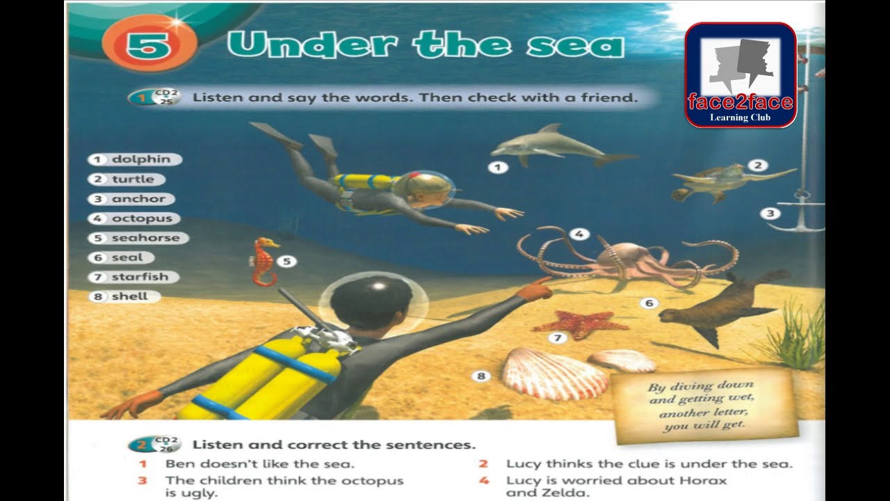 Super Minds book3, Unit 5 P.58 Better English!