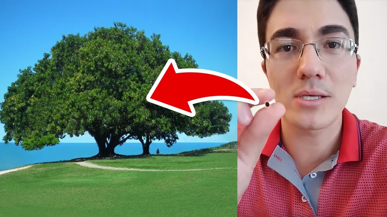COMO TER MUITA FÉ EM DEUS (Fé como um Grão de Mostarda) - Pastor Antonio Junior