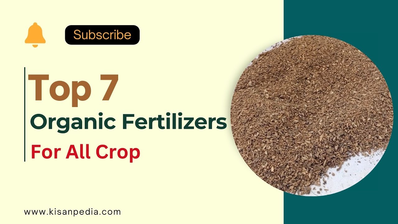 Top 7 Organic Fertilizers For All Crop.